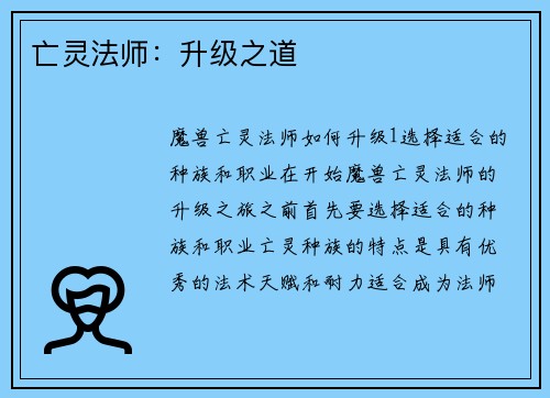 亡灵法师：升级之道
